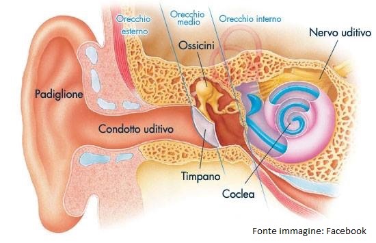 acufene